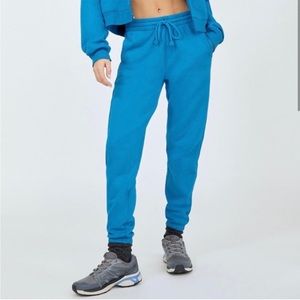 ARITZIA TNA BLUE SWEATPANTS